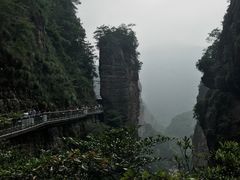-雁荡山风景名胜区-小龙湫
