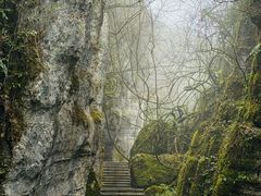 -山王坪喀斯特国家生态公园