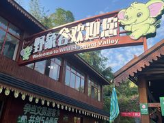 -野象谷景区