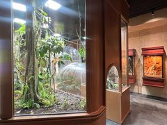 -帕帕拉兹宠物(亚洲旗舰店)