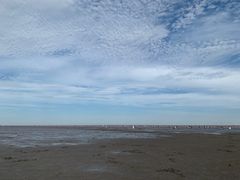 -南汇新城海滩