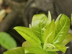 -成都杜甫草堂博物馆