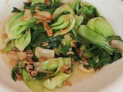 -单家老院·院子里的青岛菜(沙子口店)