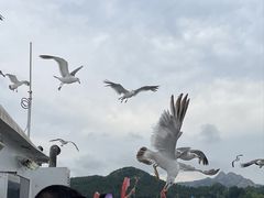 -海驴岛(荣成市)
