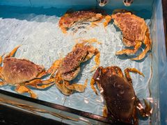 -尚海豆捞(乐虹坊店)