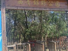 -西青郊野公园