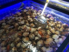 水产区-圣罗巴海鲜自助(黑金店)