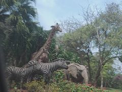 -海南热带野生动植物园