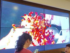 -唐猫庭院·千年陕菜(大唐不夜城店)