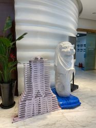 -洁铭新加坡医美