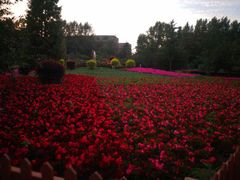 -吉林大学(前卫南区)