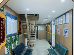 -米苏动物医院·犬猫专科·骨科外科内窥镜