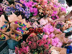 -The Grounds of Alexandria