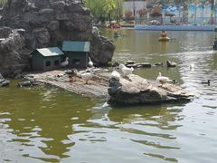 -团结湖公园