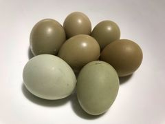 -金稼园·金平湖农家菜