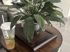 -兵立王鲜果茶·奶茶(文庙店)