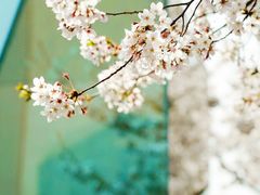 -龙美术馆(西岸馆)