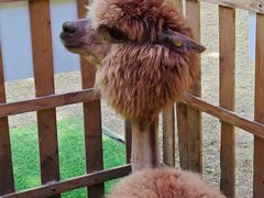 -宝岩生态观光园