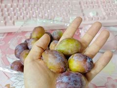 -水果天空(东葛店)