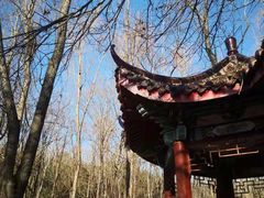 -云岗森林公园