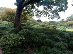 -东航云逸酒店(九溪烟树店)