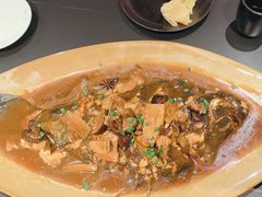 -鸢飞潍坊菜馆(鸢飞大酒店)