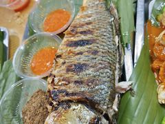 -杨合林啊兰烤鱼