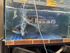 -湘君私厨.16年湘菜店(金匙望湖店)
