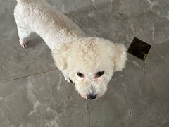 -宠颐生汉谟拉比宠物医院