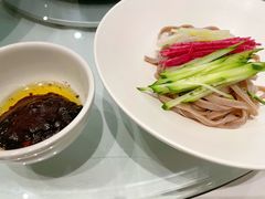 榆树皮炸酱面-泰悦一品·粤菜·烤鸭·茶点(金融街店)