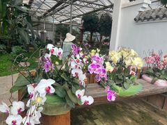 -石家庄市植物园