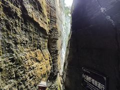 -蝶舞清江·恩施云顶景区(黄鹤峰林)
