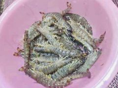 基围虾-四海鲜渔家菜(黄金海岸店)