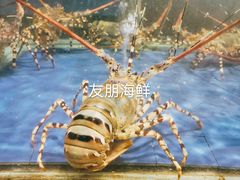 -友鹏海鲜(新宜白大道店)