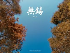 -贡湖湾湿地公园