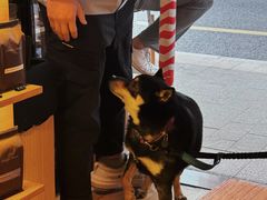 -Cafe del Volcan(永康路店)