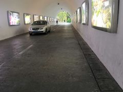 -深圳国际园林花卉博览园