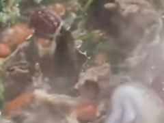 -一只羊烧烤(东湾半岛店)