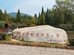 -习家池