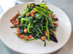 -听涛雅苑百味饺子老家菜馆