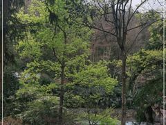 -宁海森林温泉