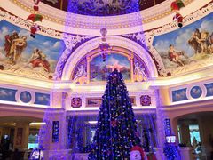 -重庆长寿碧桂园凤悦凤凰酒店