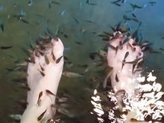 -宝丽金大酒店·洗浴中心