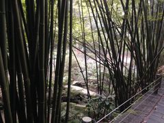 -四洞沟景区