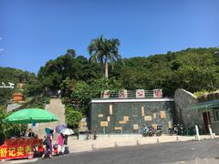 -仙岳公园