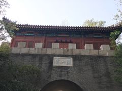 -云岗森林公园