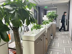 -嘉盛律师团队·法律咨询(上海广场店)