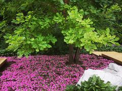 -黑龙江省森林植物园