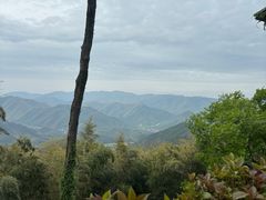 -莫干山风景区