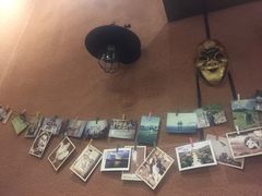 -青松大叔的店(东财店)